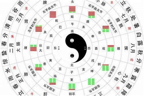 黃五行|黄字五行属什么